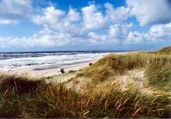 Blick auf die D&uuml;nen